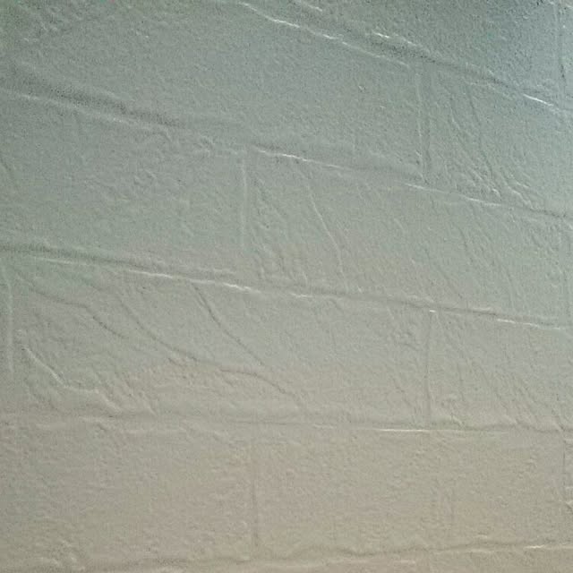 hoshiさんの実例写真