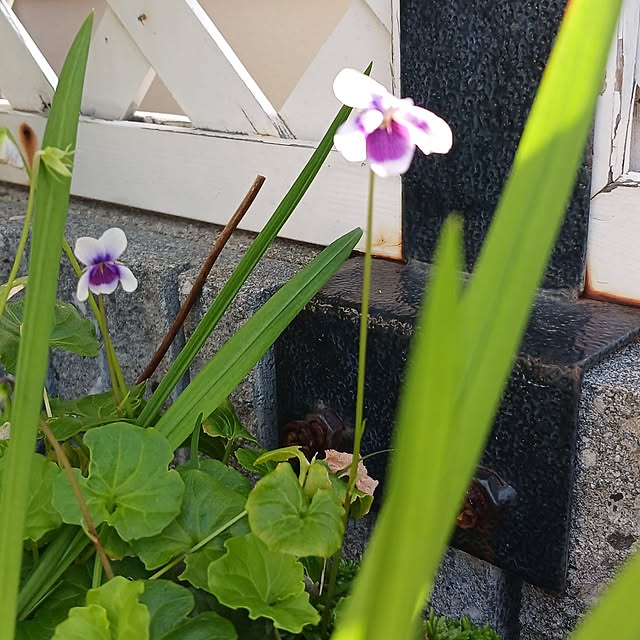 aiさんの部屋