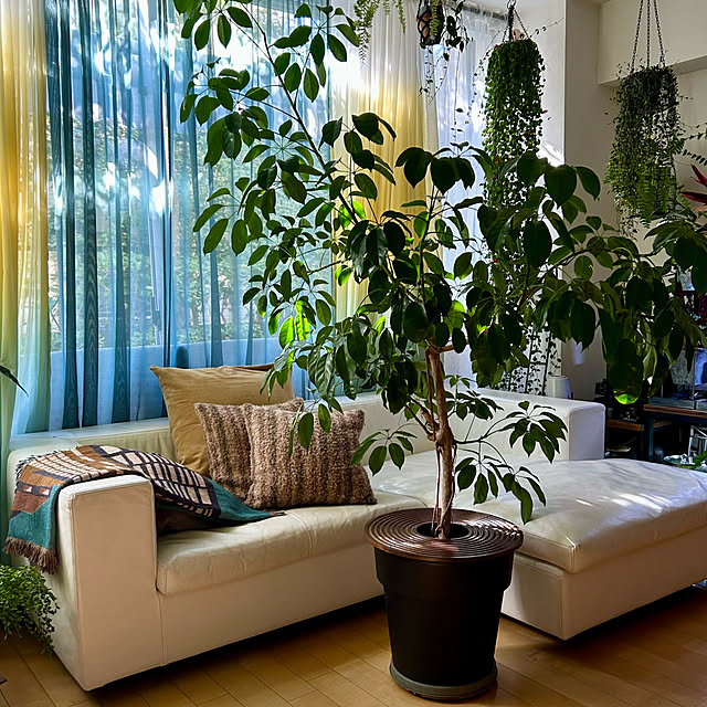 DAYONEさんの実例写真