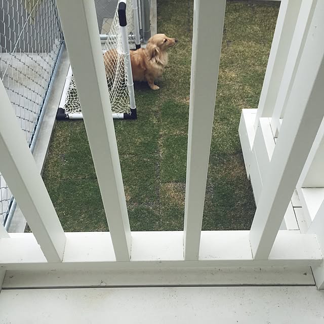 R_u_m_iiさんの実例写真