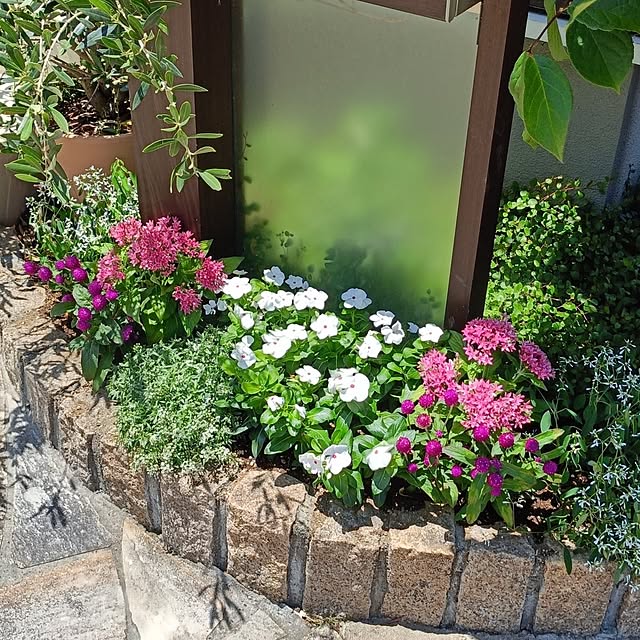 watashinoouchiさんの実例写真