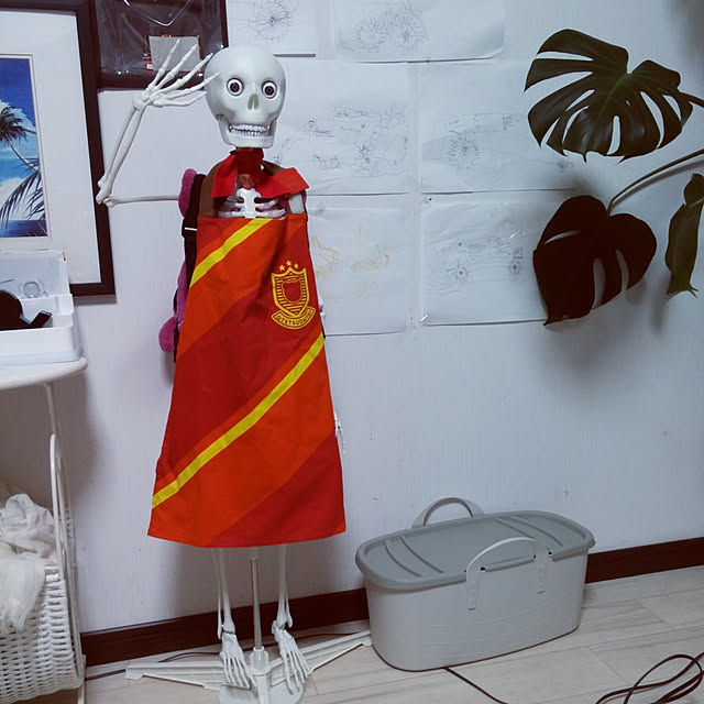 実例写真