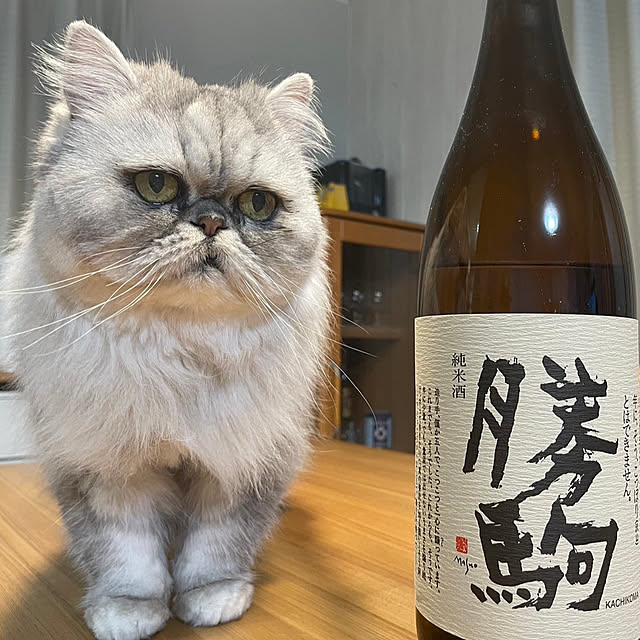yasupiさんの部屋