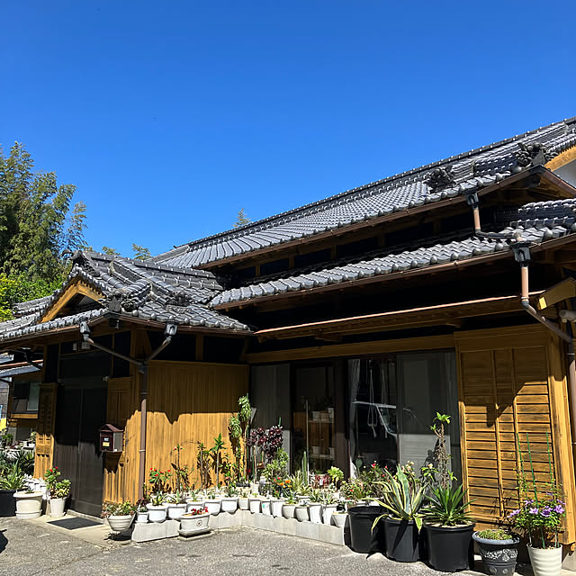 koshiregutyoさんの部屋