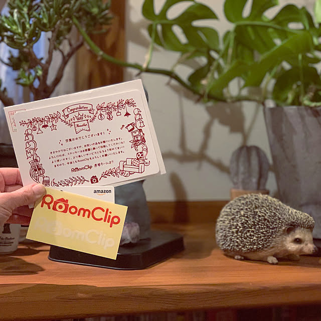 misacoさんの実例写真