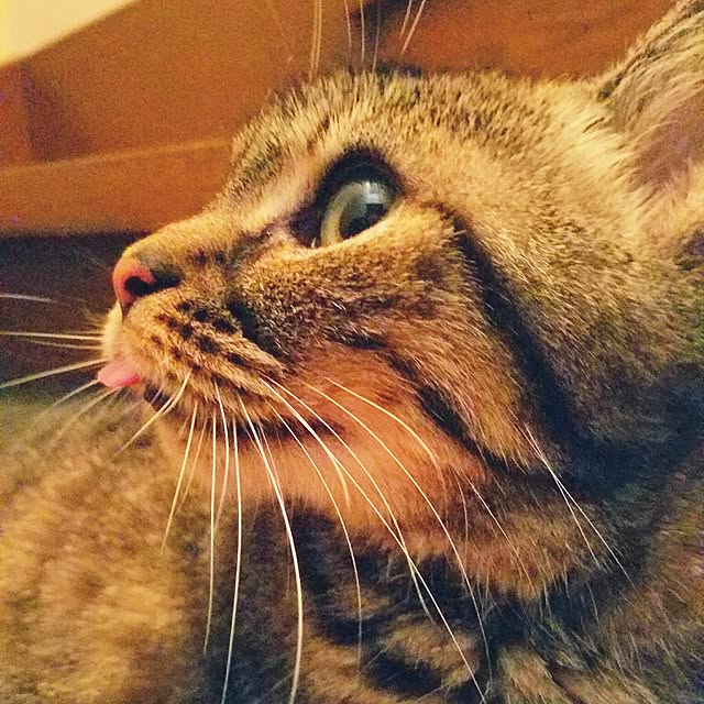 Echanさんの実例写真