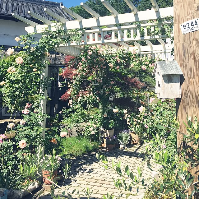 H.Aymさんの実例写真