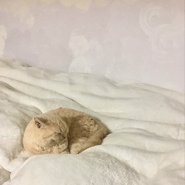 naokoさんの実例写真