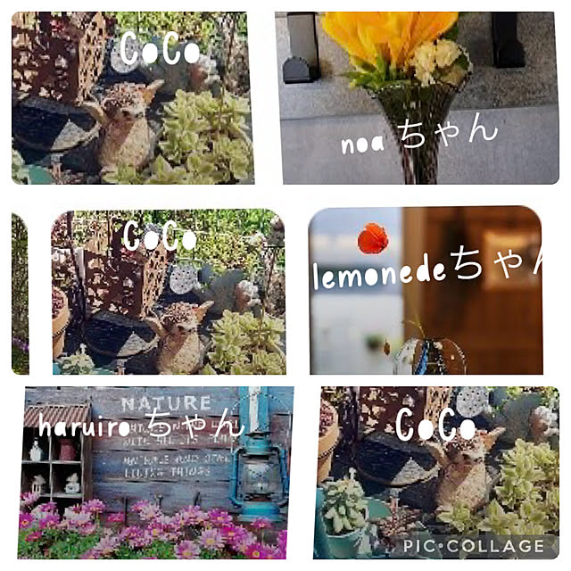 CoCo0617さんの実例写真