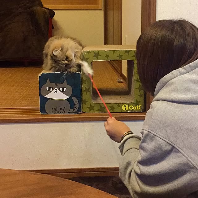 butachanさんの実例写真