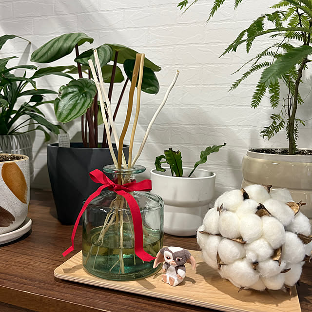 toro_room0503さんの実例写真