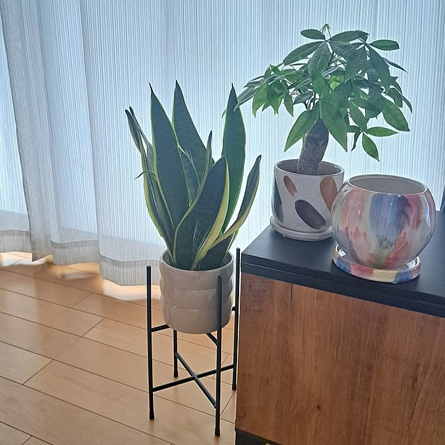 toro_roomさんの実例写真