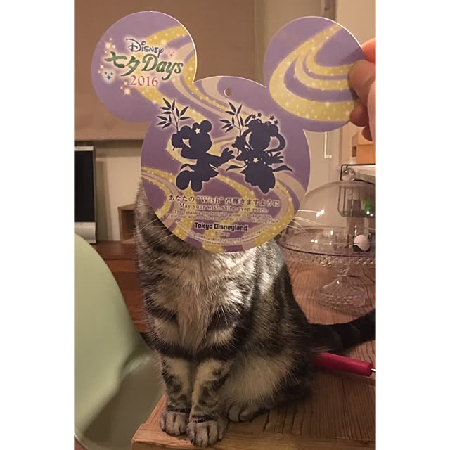 mikomaruさんの実例写真