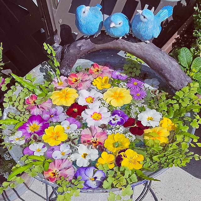 mocomocoさんの実例写真