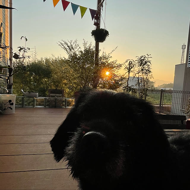 marinkoさんの実例写真