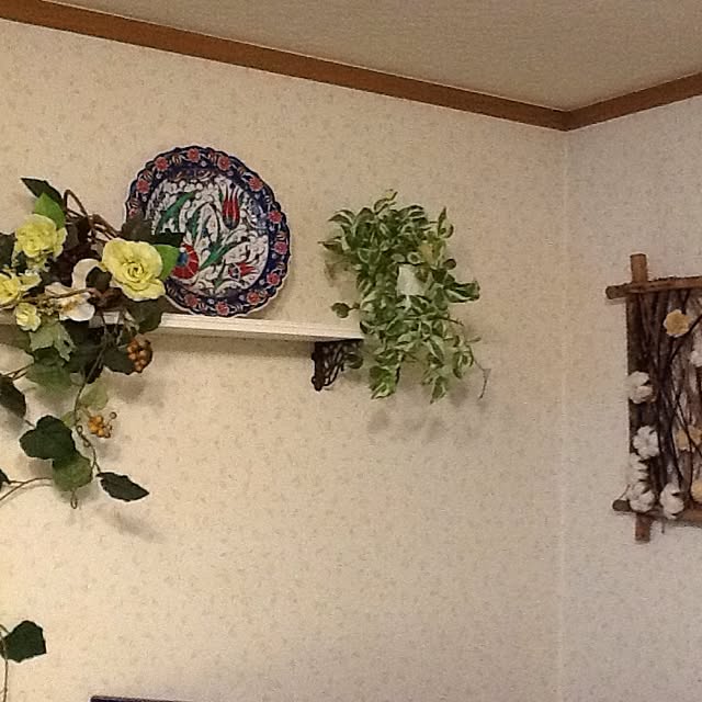 Annieさんの実例写真