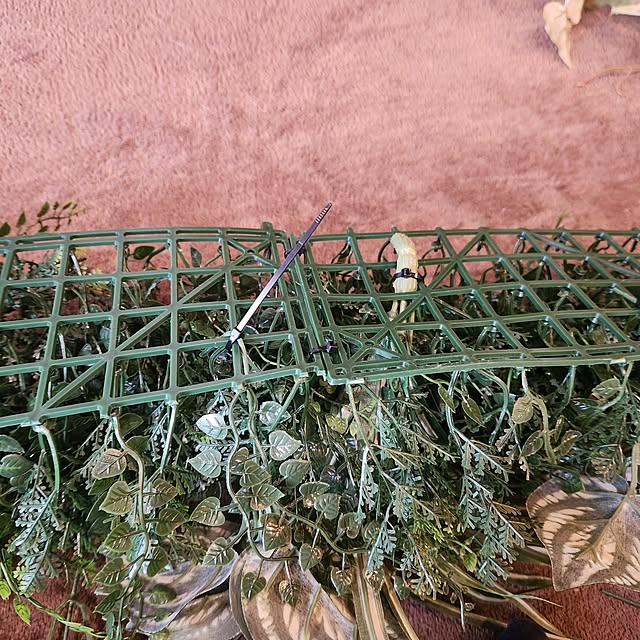 T.R.D.LABOさんの部屋