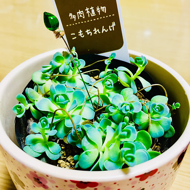 takakoさんの実例写真