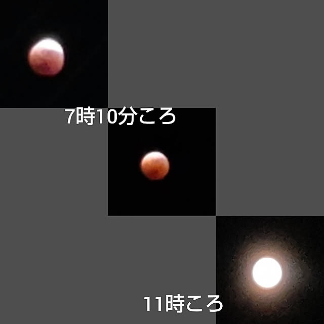 yumirinさんの実例写真