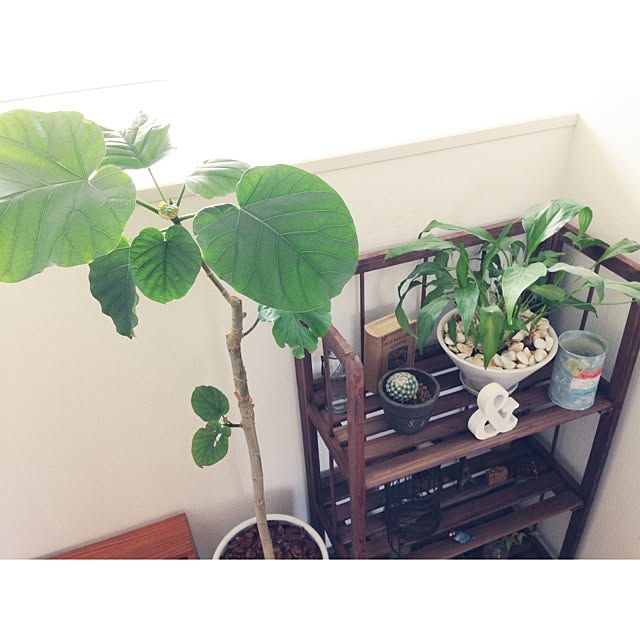 Megu5319さんの実例写真