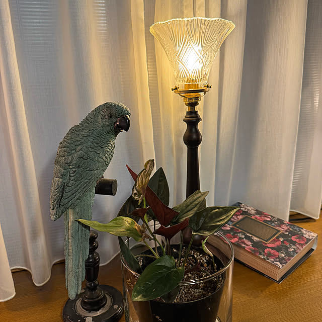 mamizaさんの実例写真