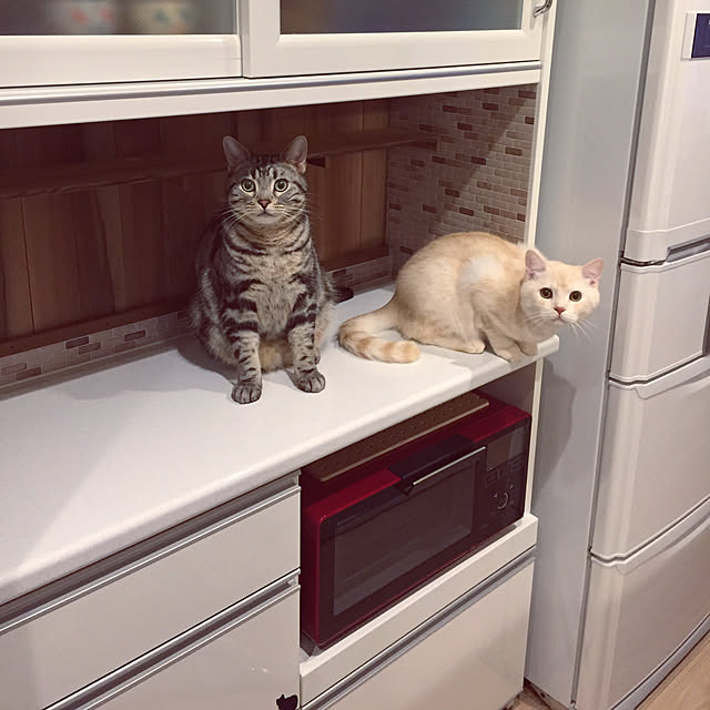 y.k.0123さんの実例写真