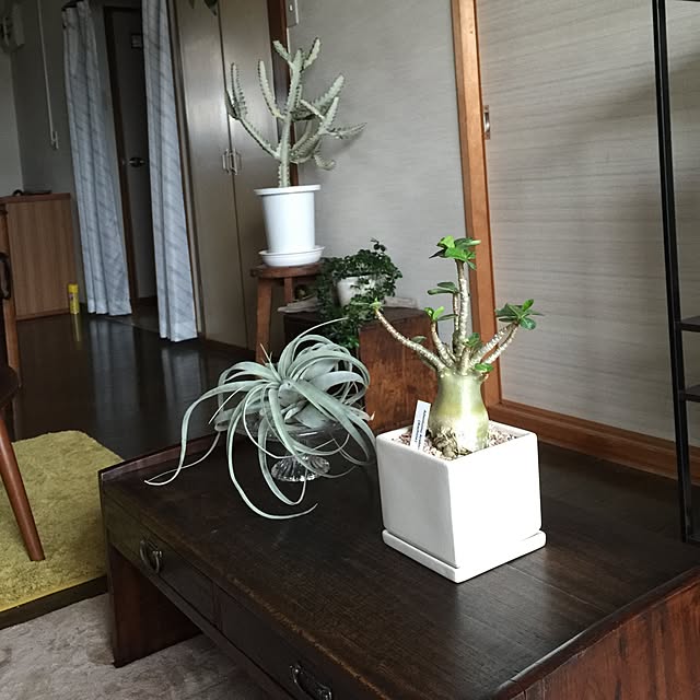 tadaさんの実例写真