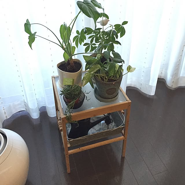 kurimamaさんの実例写真