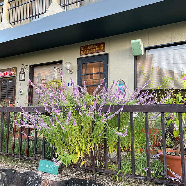 shin0719さんの部屋