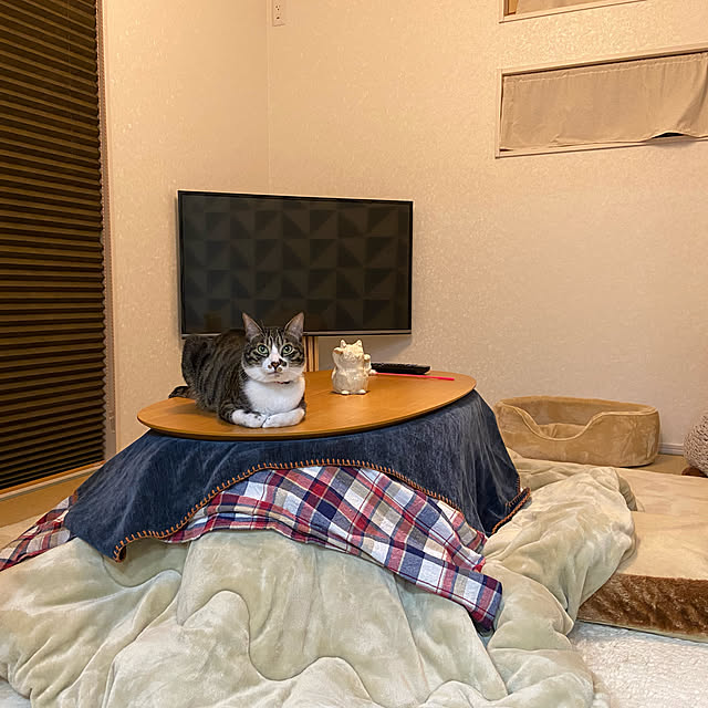 ippu0303Karinさんの実例写真