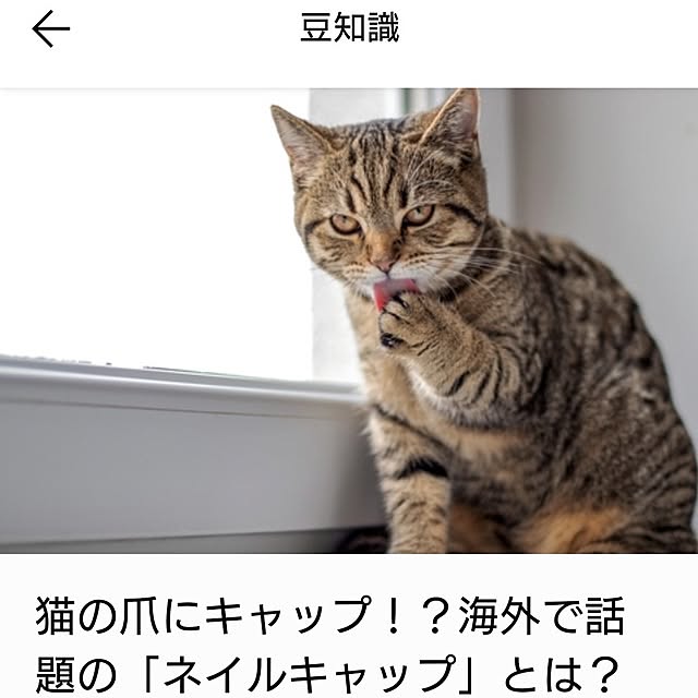 noguriさんの実例写真