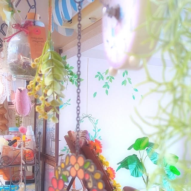 キッチン/グリーンのある暮らし/ナチュラルインテリア/おしゃれ/かわいい♡...などのインテリア実例 - 2025-04-12 20:26:19