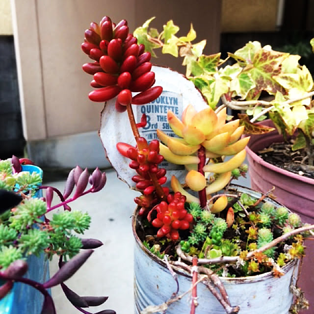 tudukiさんの実例写真