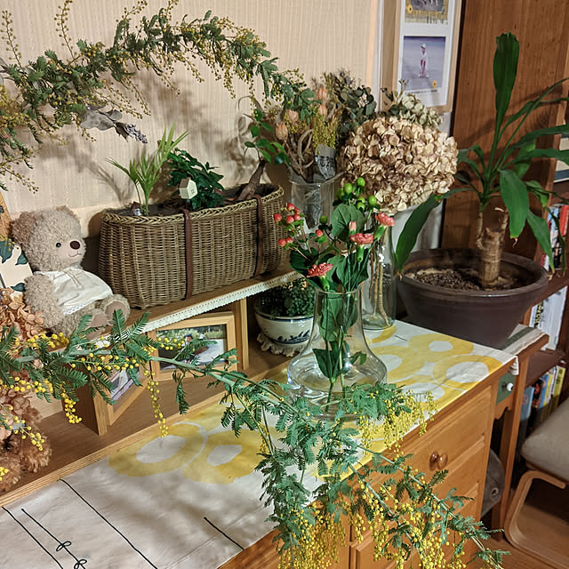 kouheiyuto24623takaさんの実例写真