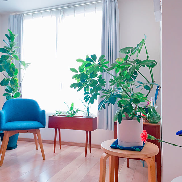 YYさんの実例写真