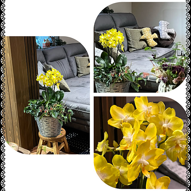cota2さんの部屋