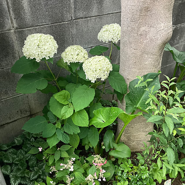 mamaさんの部屋