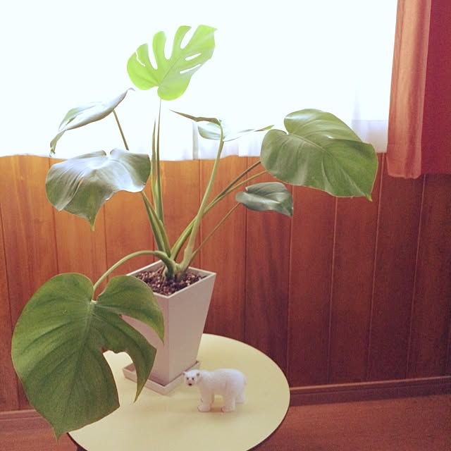nemanema0103さんの実例写真