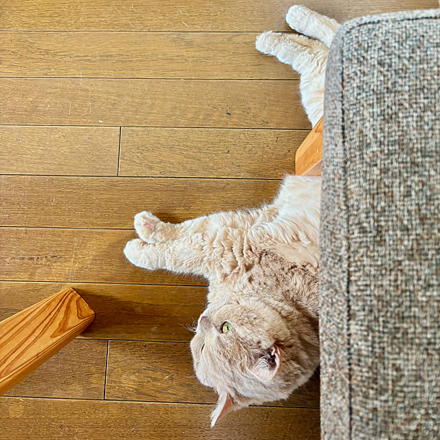 naokoさんの部屋