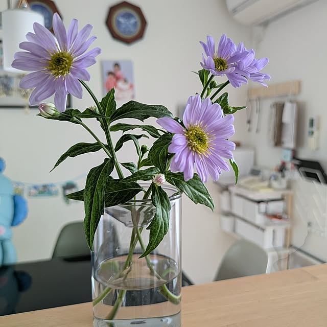 naoさんの実例写真