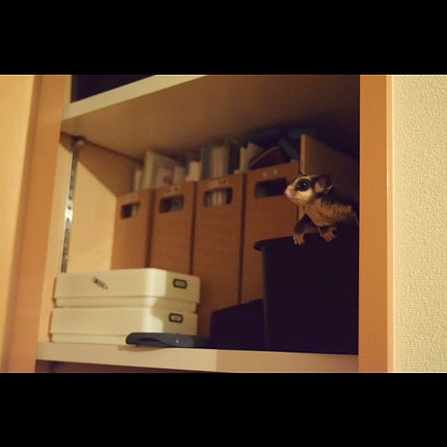 JiroTanさんの実例写真