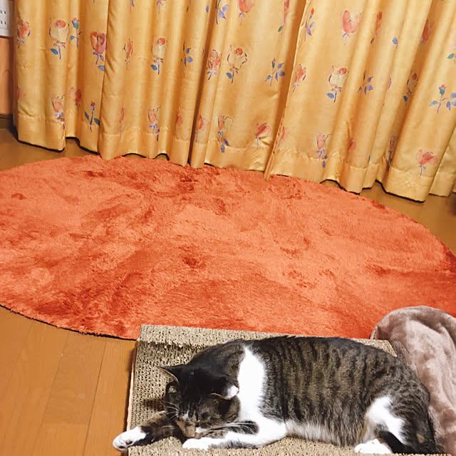 mame-minさんの実例写真