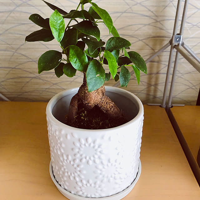 hanachanさんの部屋