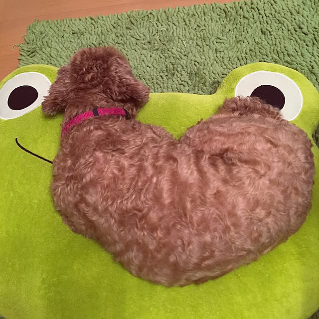 moonさんの実例写真