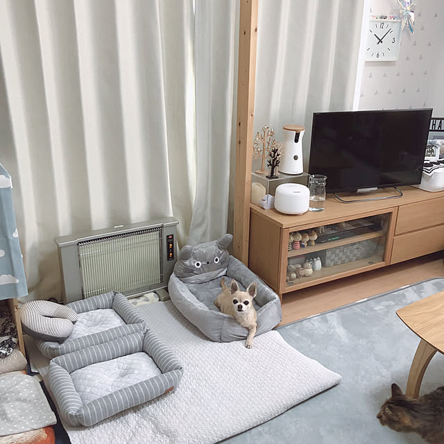 Emiさんの実例写真