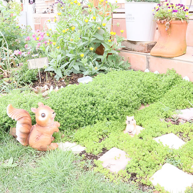 S.homeさんの実例写真
