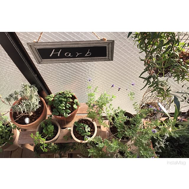 Hisayoさんの実例写真