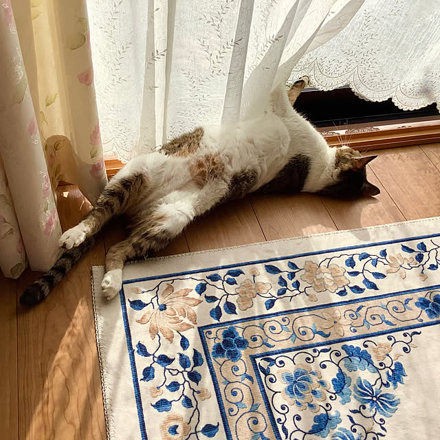 haruminさんの部屋