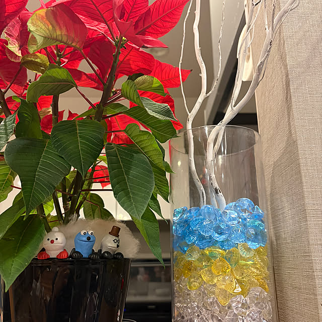 ikuzakさんの実例写真