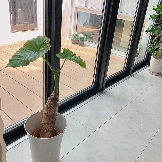 erinanaforさんの実例写真